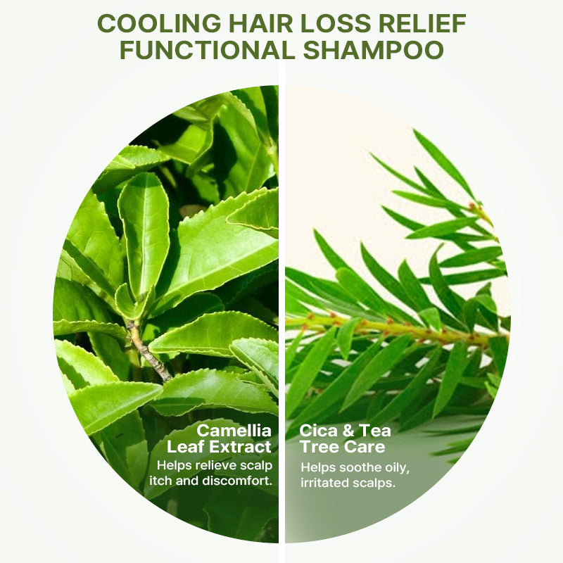 Lador Root Re-Boot Activating Shampoo (Cica & Tea Tree) 300ml