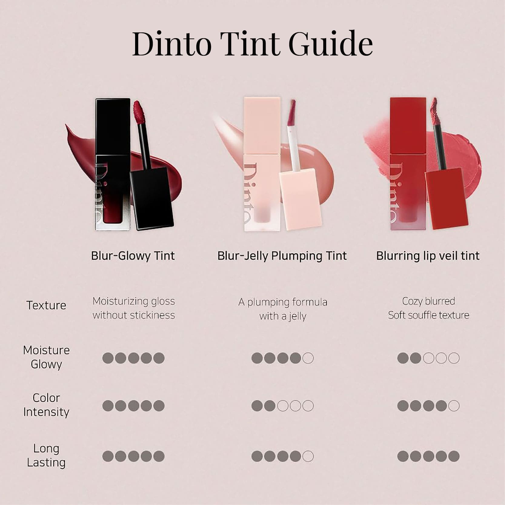 Dinto Blurring Lip Veil 102 Legato 3.5ml