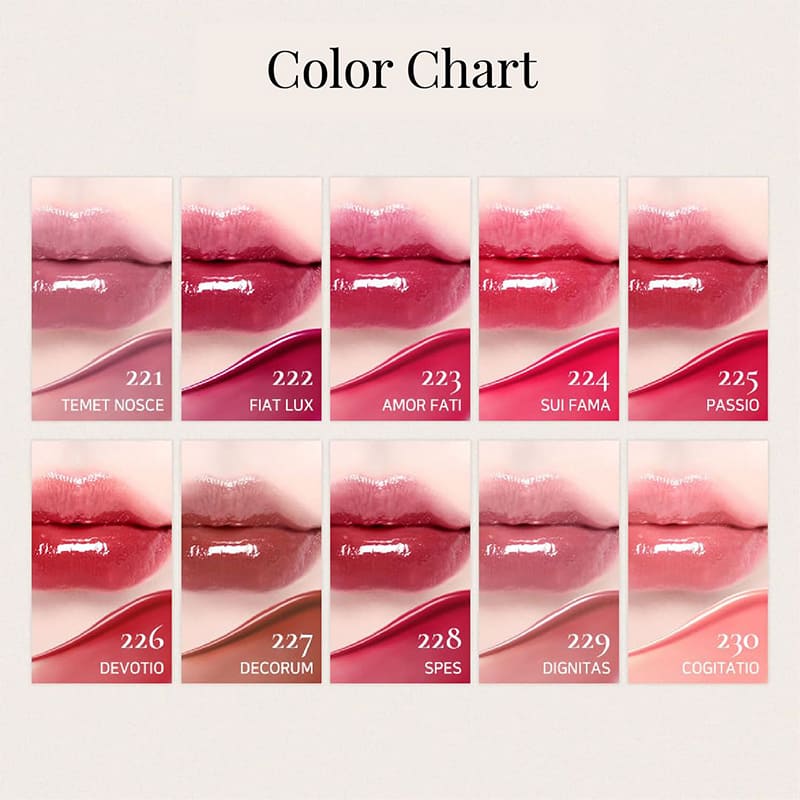 Dinto Blur-Glowy Lip Tint 218 Memento Mori 3.5g