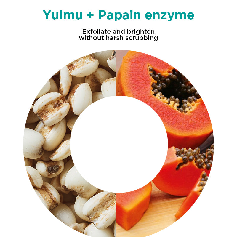 Ariul The Perfect Yulmu Enzyme Scrub Powder Cleanser 55g