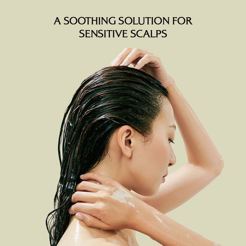 Lador Newplex Balancing Shampoo - 530ml