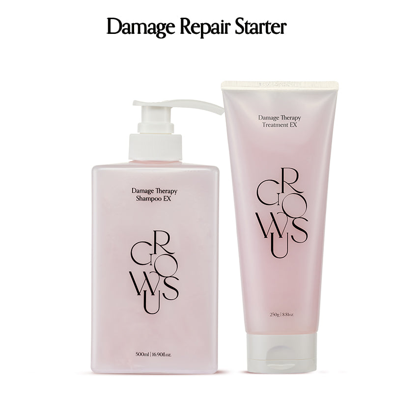 Damage Repair Starter