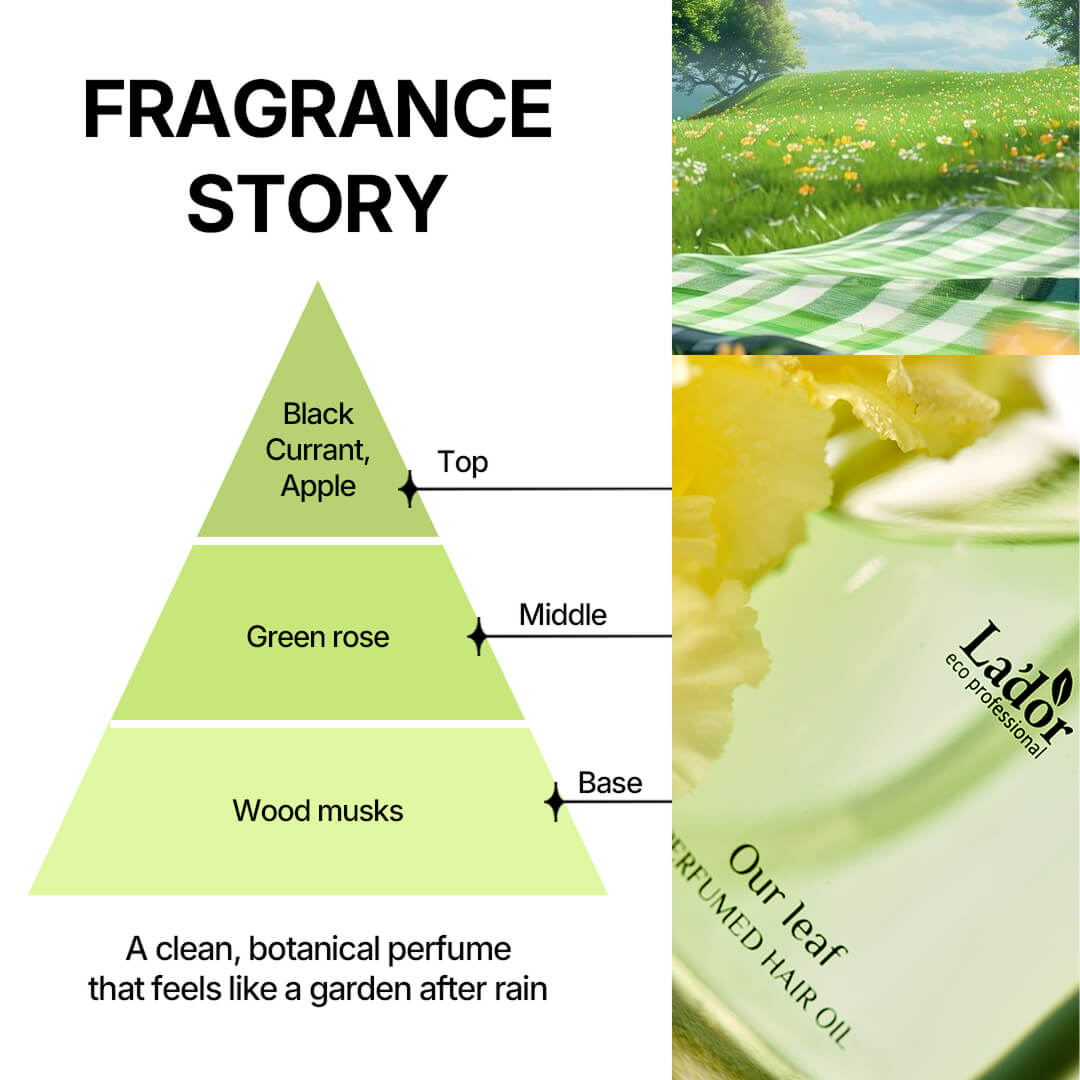Lador Perfumed Hair Oil – Our Leaf