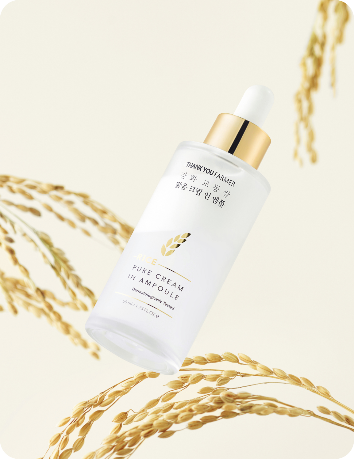 Thank You Farmer Rice Pure Cream In Ampoule – 2-in-1 Brightening and ...