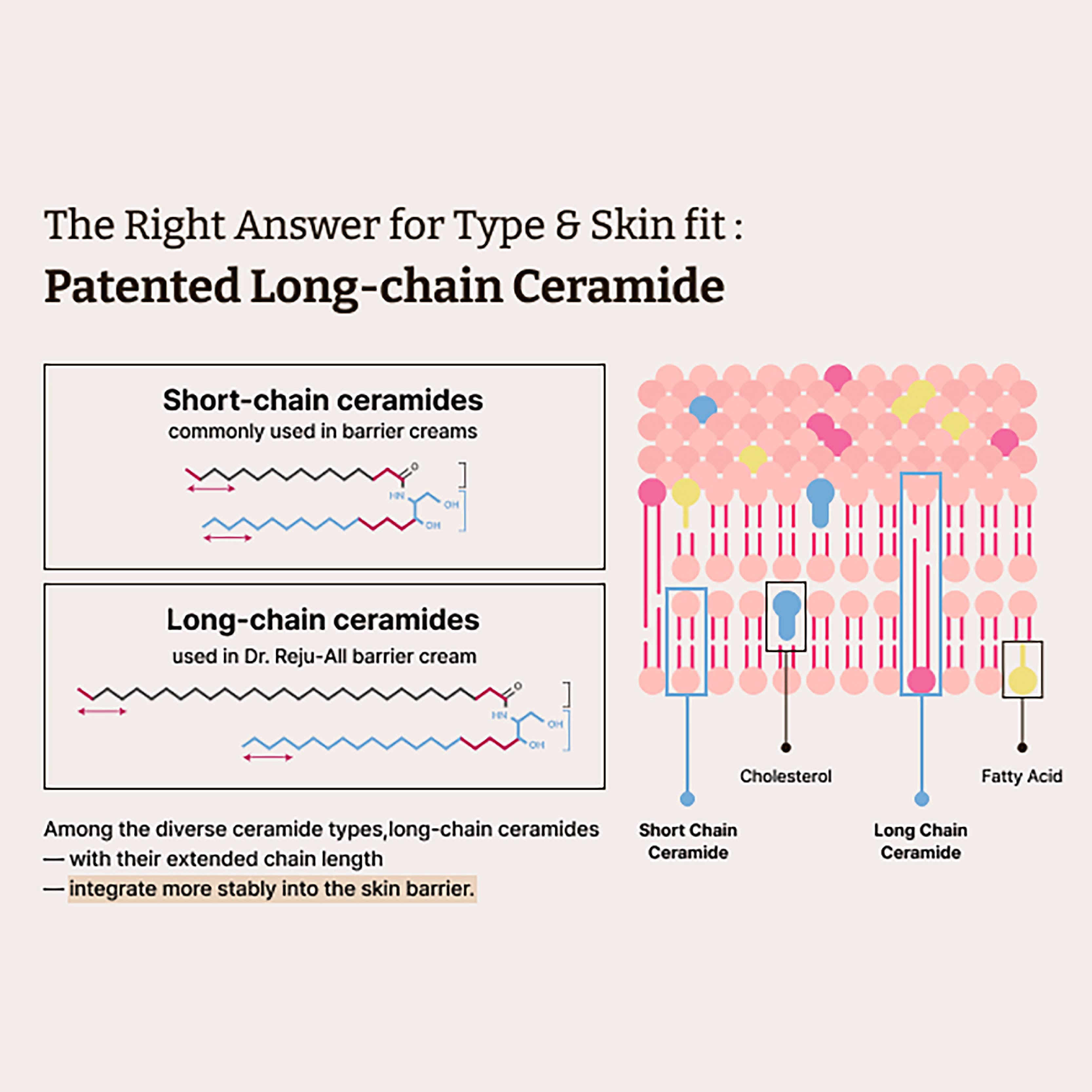Dr.Reju-All Advanced LC-Ceramide Barrier Cream - 50ml